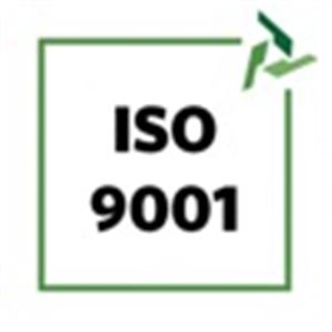 ISO 9001:2015 Certificazione 