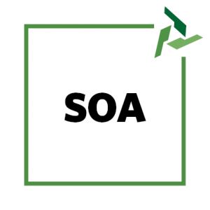 SOA Attestazione numero 21939/11/00 