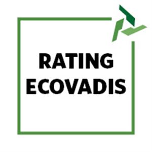 Ecovadis sustainability rating Gold 