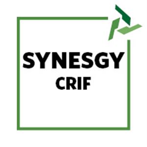 Certificato di Synesgy CERTIFICAZIONE 
